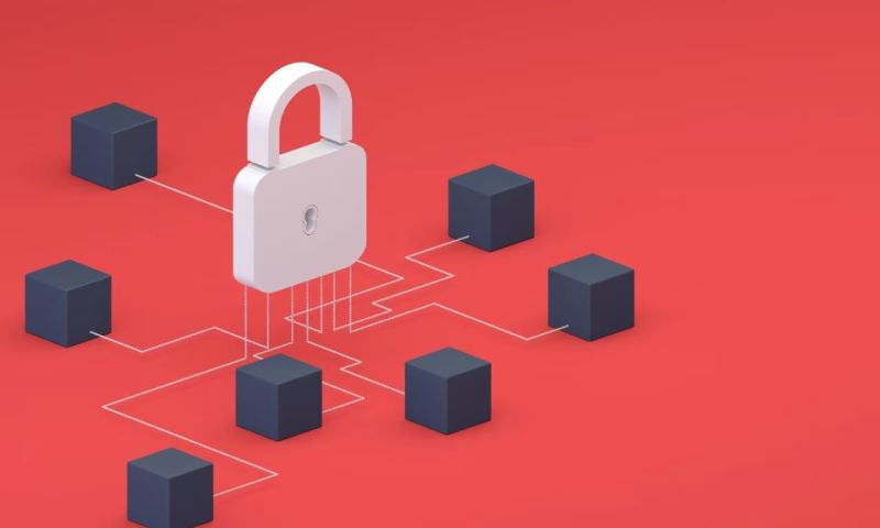 项目管理的智慧:确保软件定制开发成功的关键要素